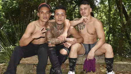 The trail – David Cearense, Anthony Maceio, Ander Kildrian & Jack Mineiro