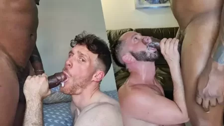 All Cummers Welcome – Amadeus Cumpilation