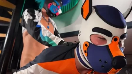 Dog Training – Thaly, Snow